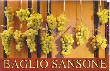 BAGLIO SANSONE SRLCR BAGLIO SANSONE SRLCR