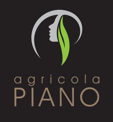 Raffaele Piano Raffaele Piano