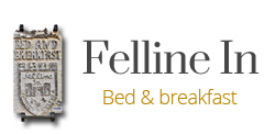 FELLINE IN B&B FELLINE IN B&B