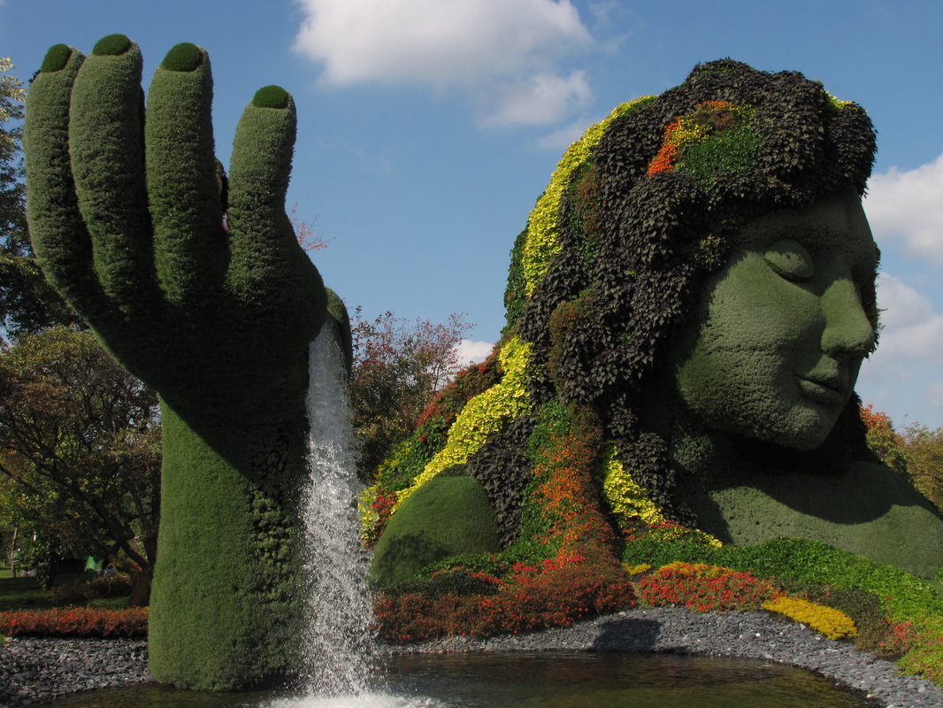 Le Malattie Della Stella Di Natale Supereva