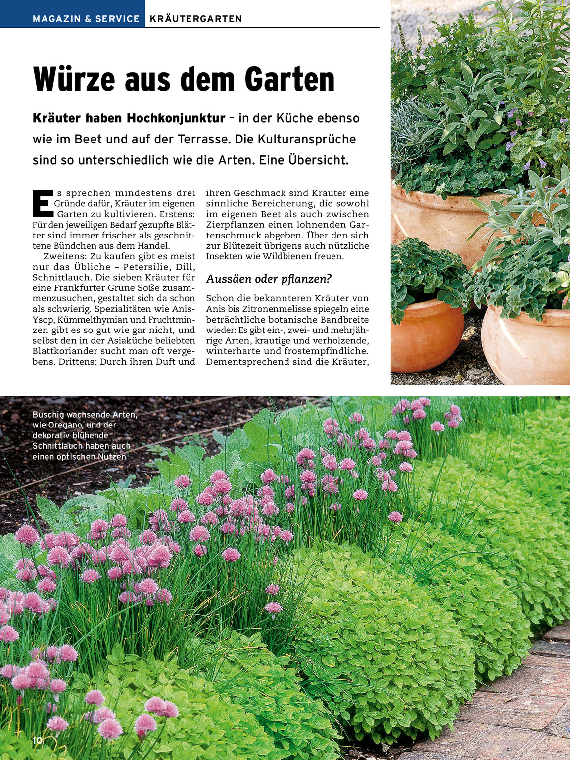 selber machen Garten Frühjahr 2018 | Selber Machen selber machen Garten Frühjahr 2018 | Selber Machen