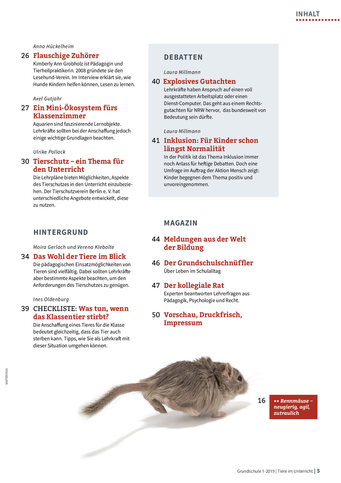 Rat der 5. Klasse