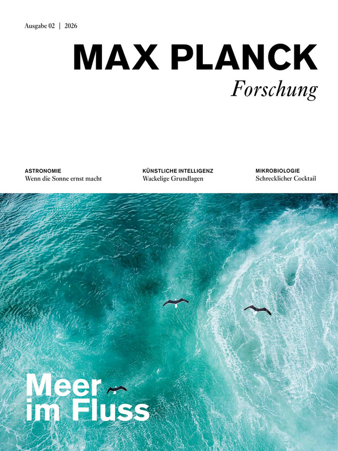 Max Planck Forschung
