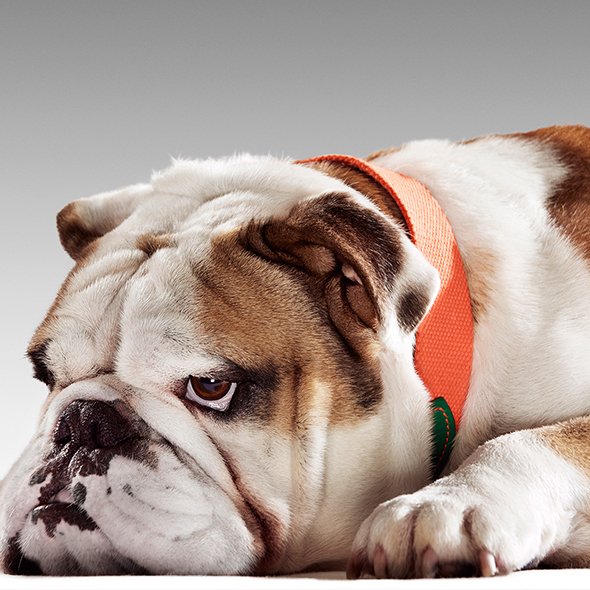 What do you think? Could this make a fancy Christmas gift for your ... What do you think? Could this make a fancy Christmas gift for your ...