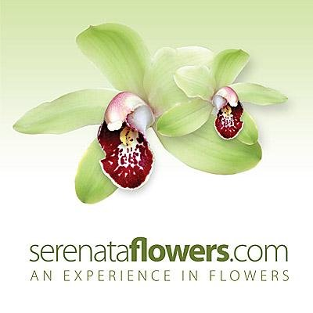 Serenata Flowers offers, Serenata Flowers deals and Serenata Flowers