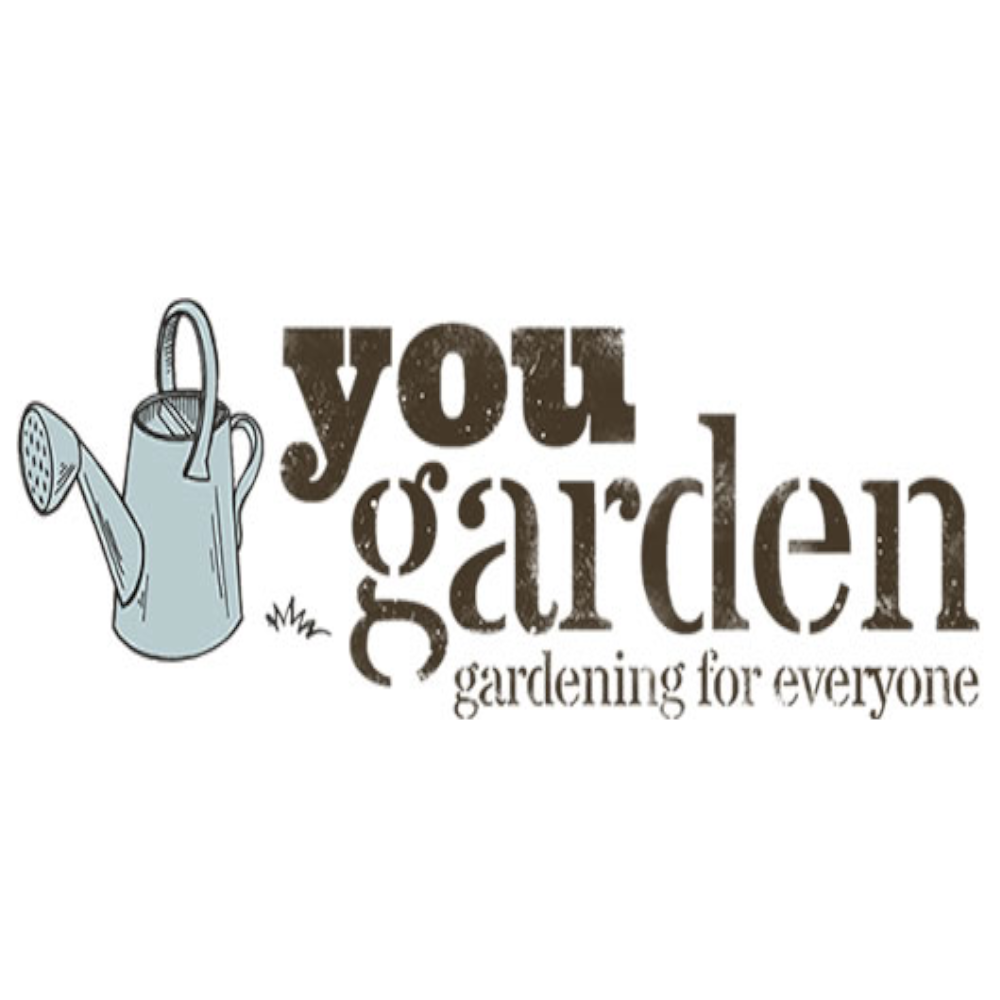 offers, deals and discounts