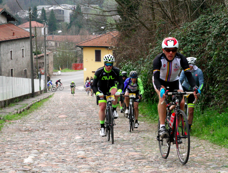 Varese van Vlaanderen
