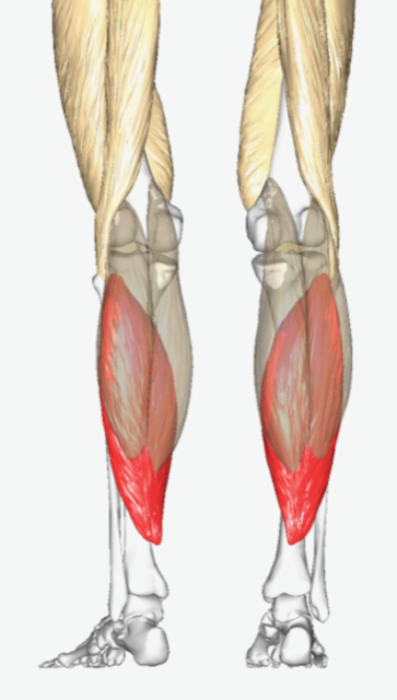 osteopatia 2