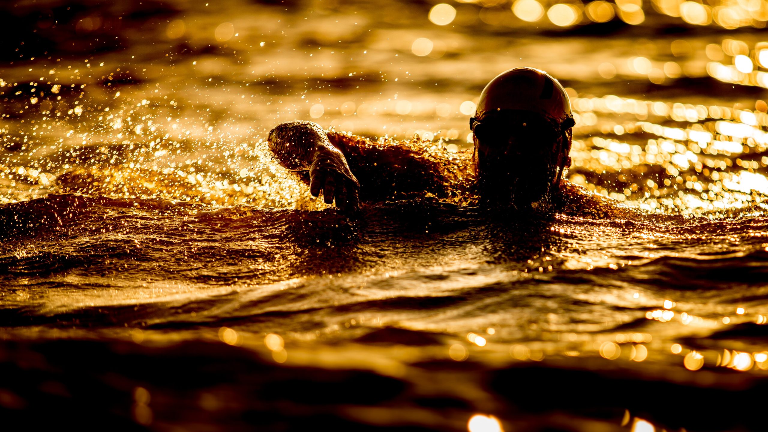 nuoto in acque libere, allenamenti