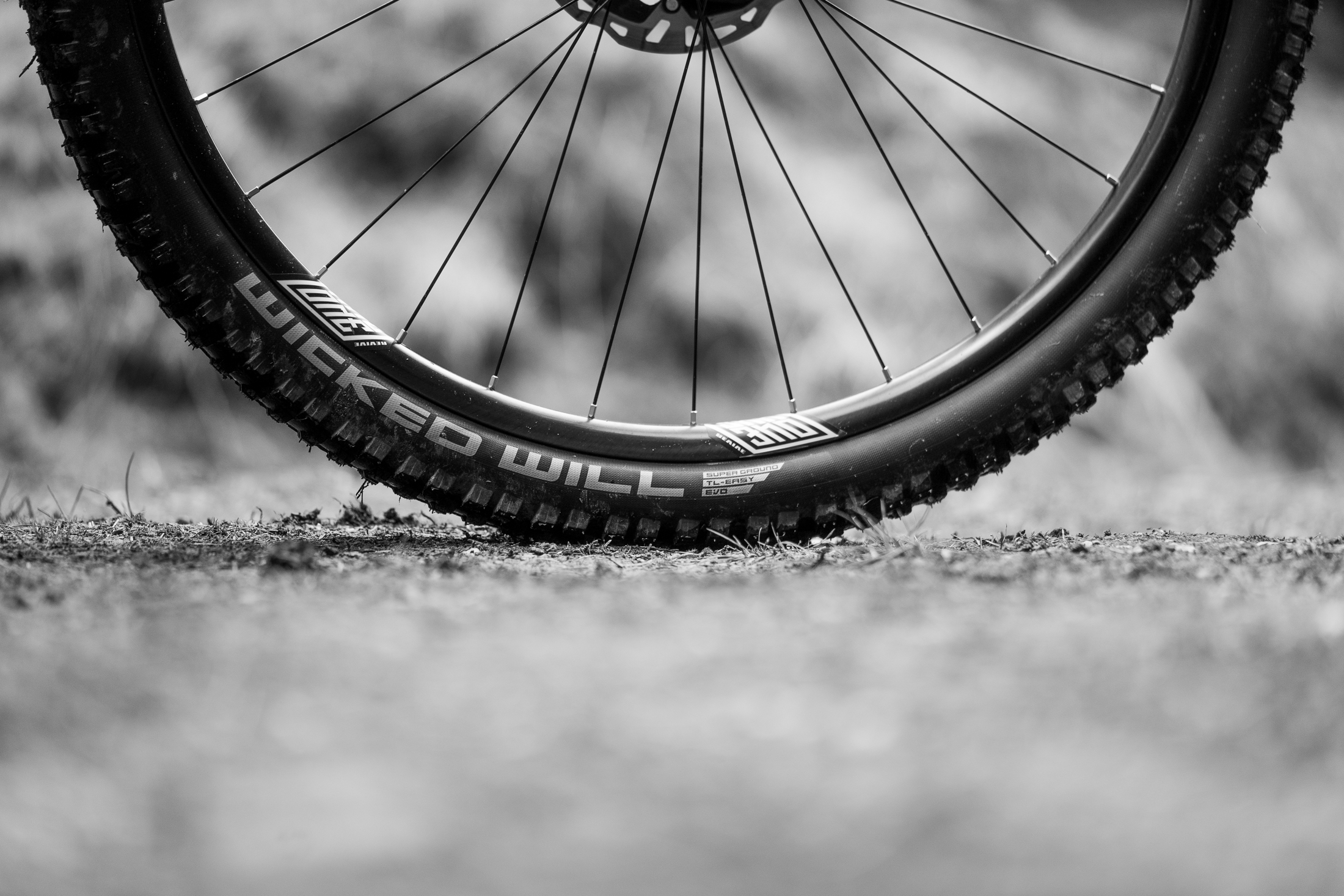 Pneumatici per MTB: guida alla scelta - ENDUchannel