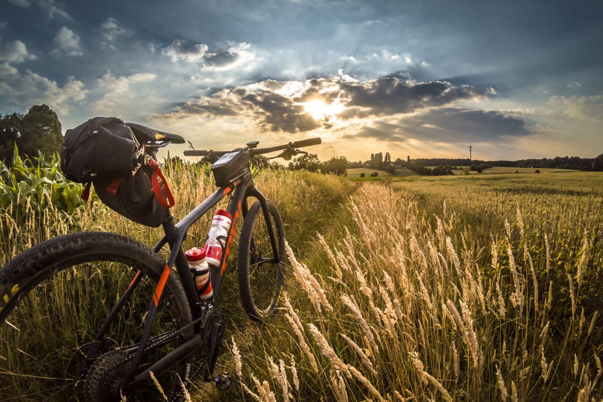MTB - l'importanza del rinforzo muscolare - ENDUchannel