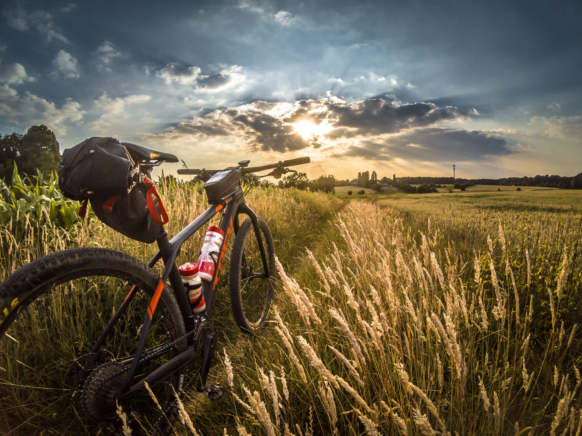 MTB - l'importanza del rinforzo muscolare - ENDUchannel