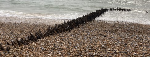 Remains of fascines, used as early coastal defences, exposed on the beach at low tide.