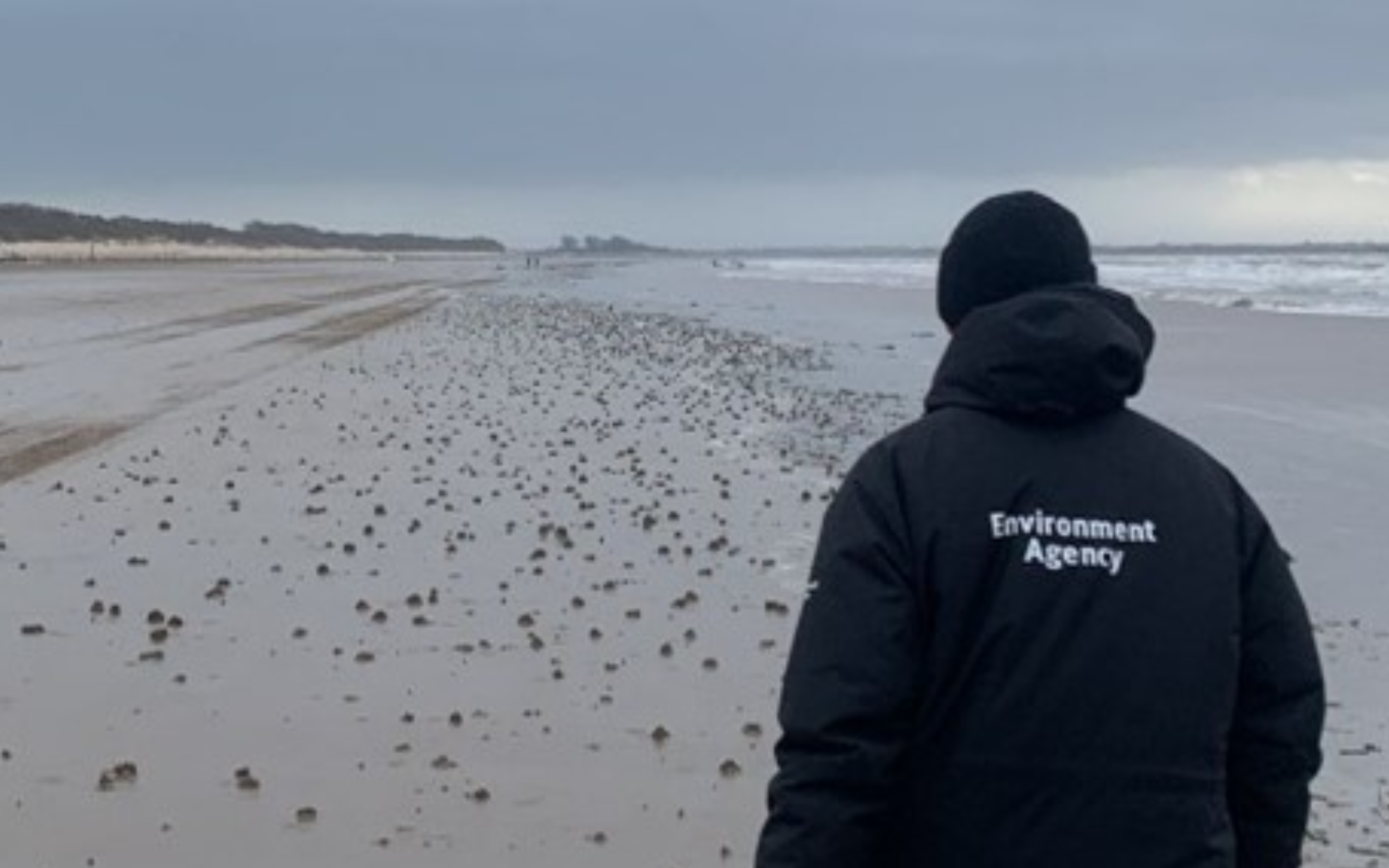 A person in an Environment Agency jacket walks on a sandy beach, scattered debris visible, under a cloudy sky.