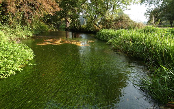 A river running through trees with dappled sunshine
