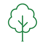 Team member, Tree Service