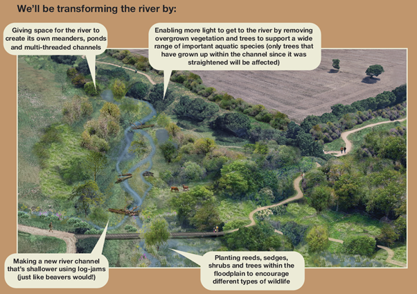 Plans of the proposed project.
