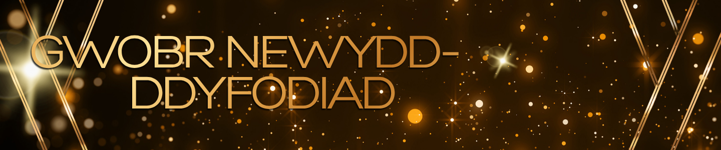 Gwobr Newydd-ddyfodiad  