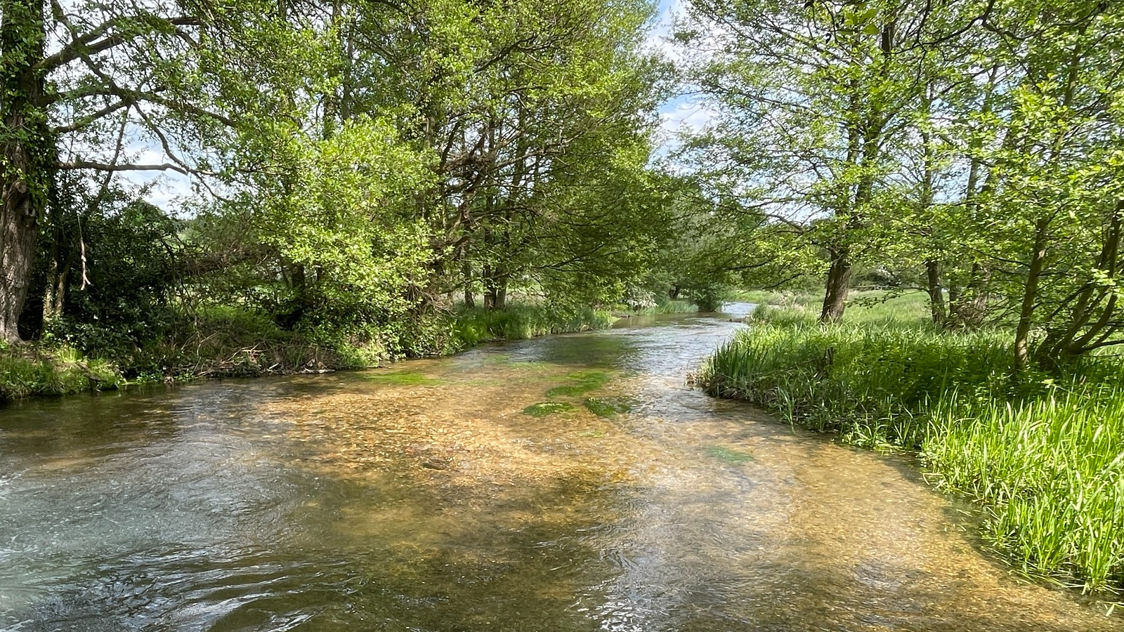 A river flowing through lush greenery, bordered by trees and grassy banks under a partly cloudy sky.