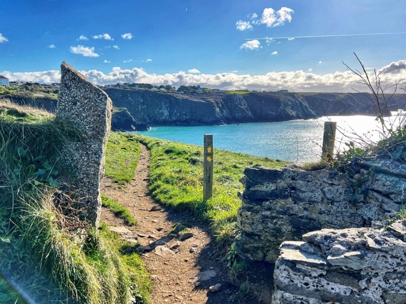 Taken on the footpath from Poldhu towards Mullion is in the foreground, with vistas of the sea and cliffs beyond