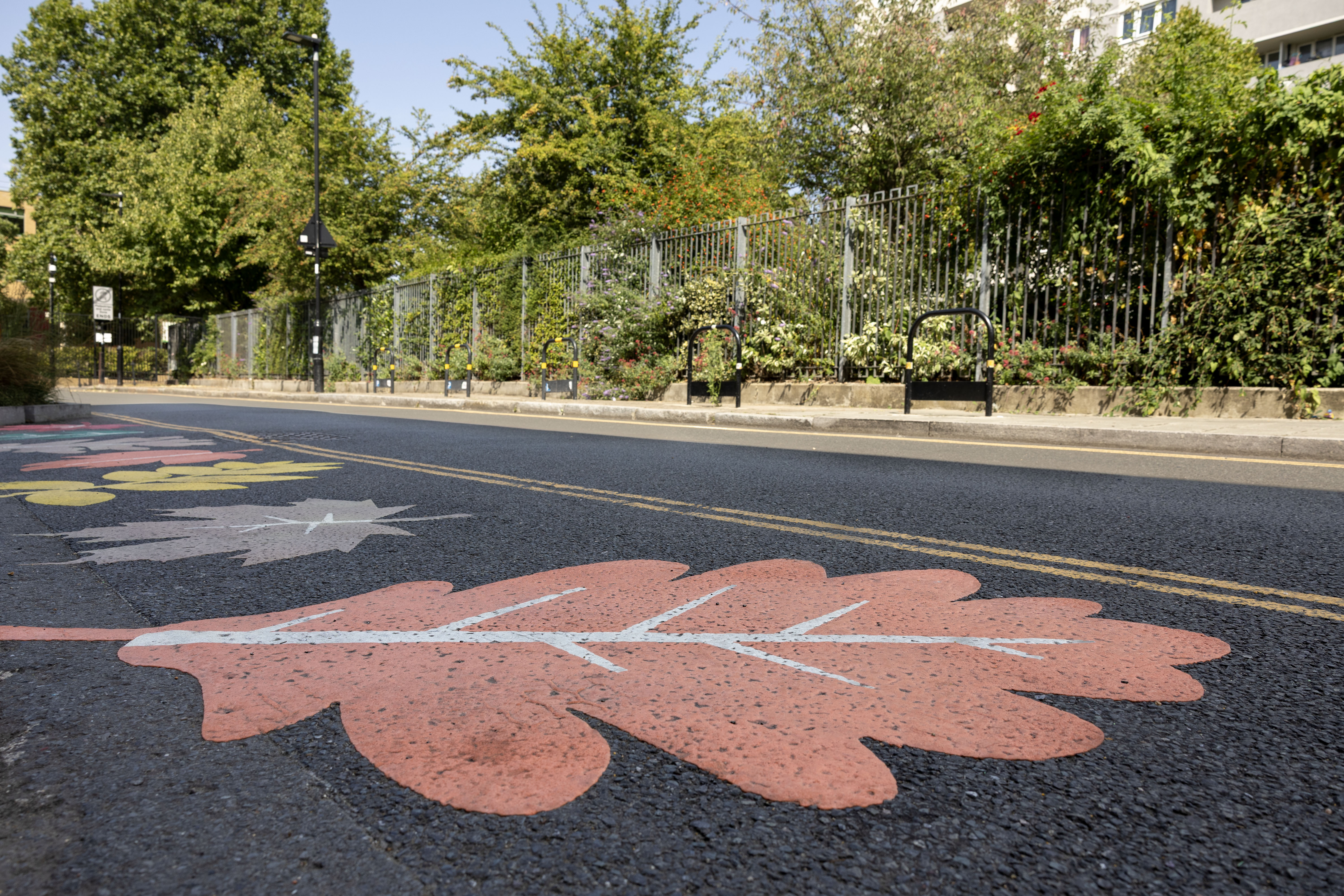 Colourful images of autumn leaves on a road surface