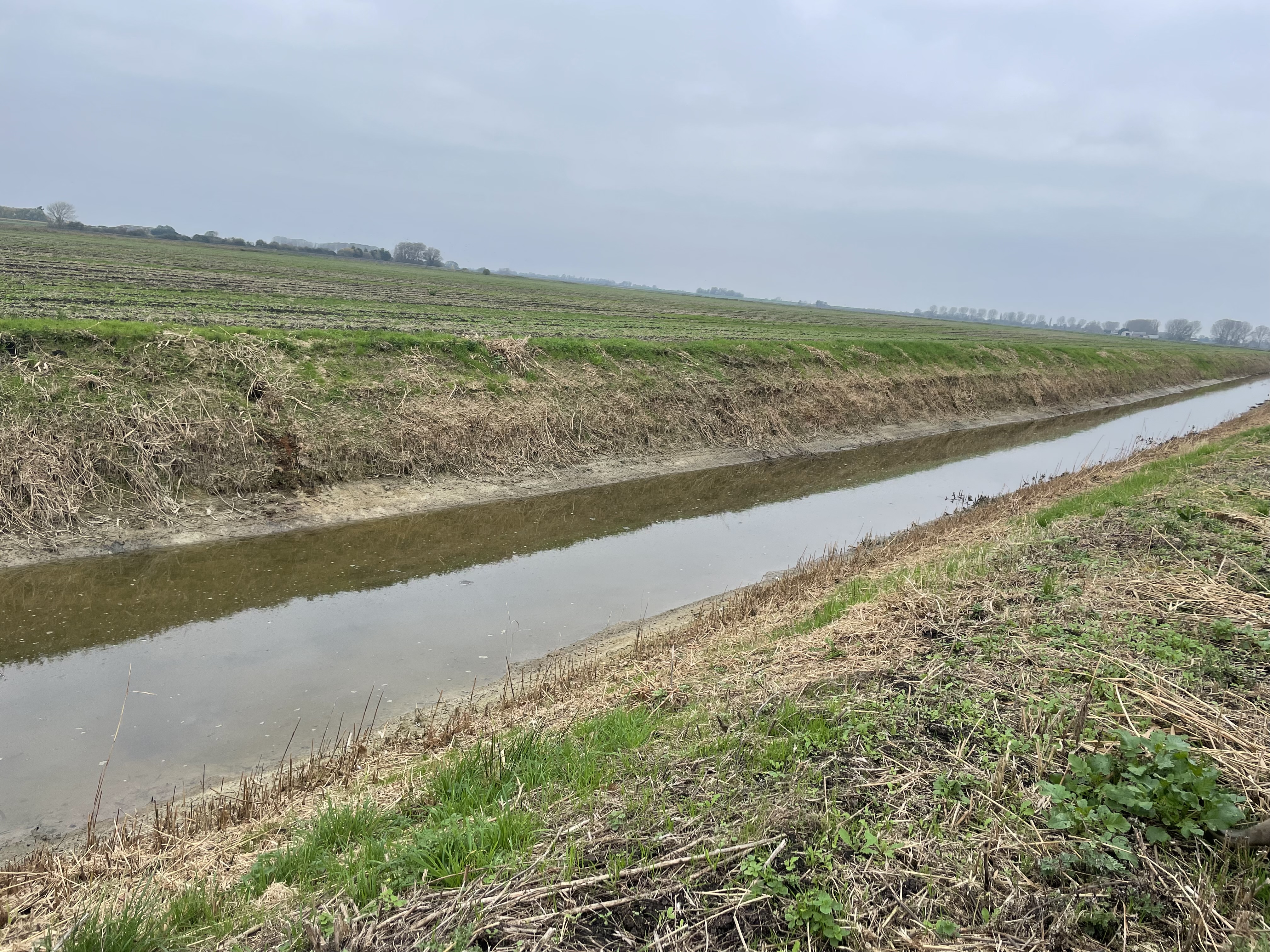 Photo of a lode (drain, watercourse)