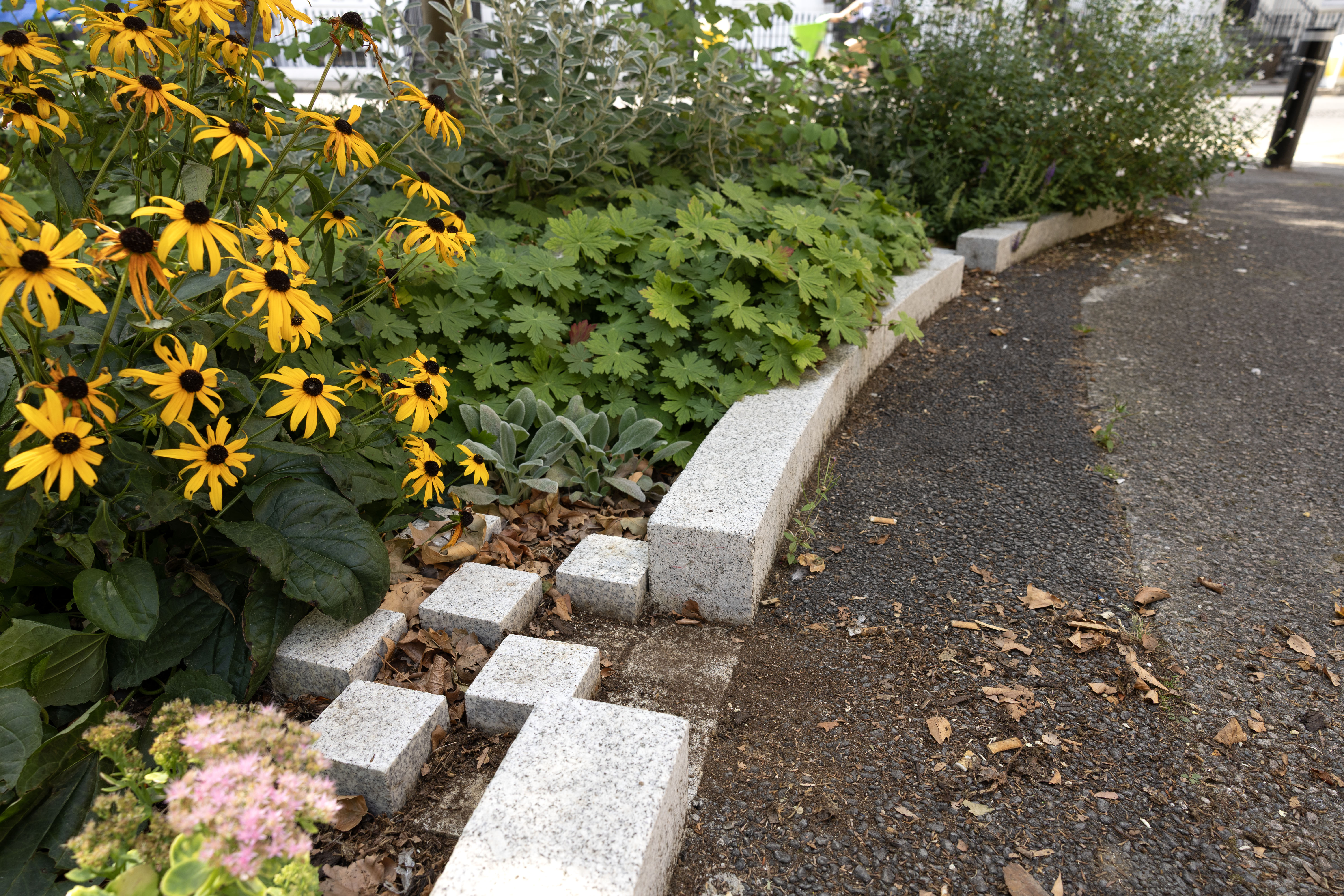 image showing new planting and improved drainage