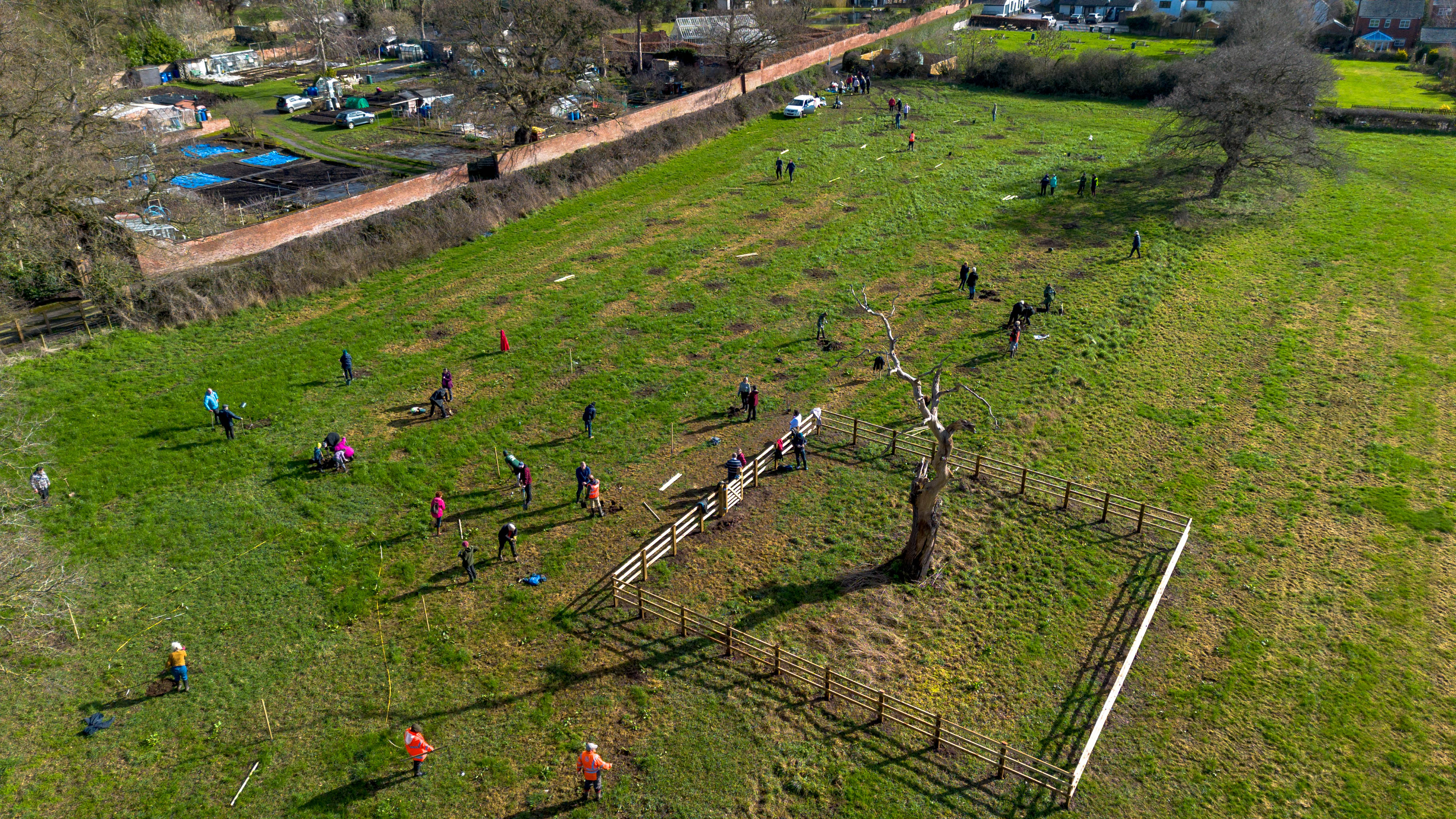 Aerial view of volunteers planting an orchard