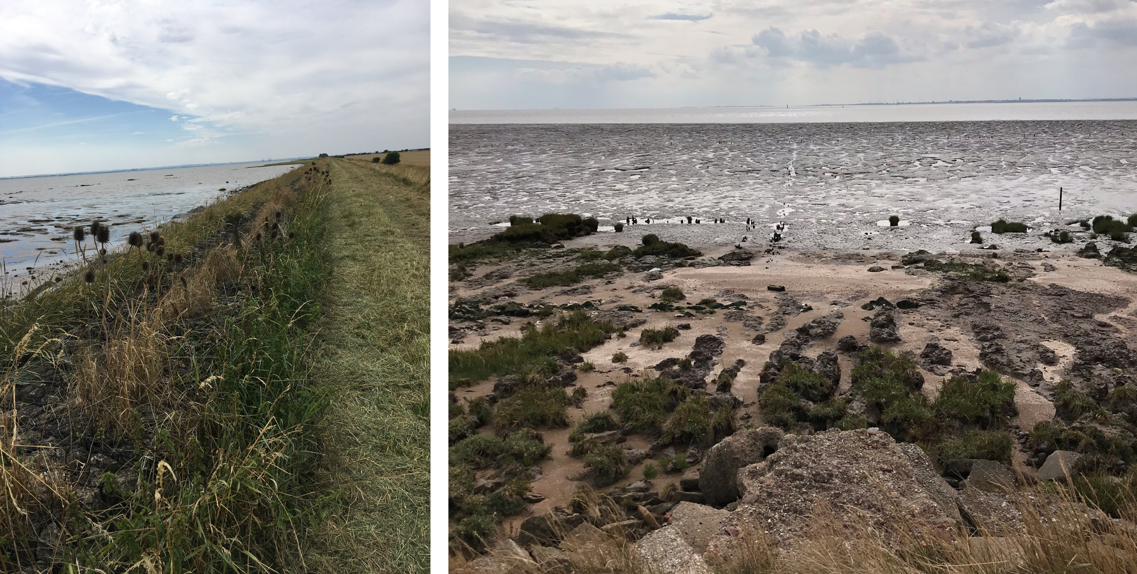 Image of mudflats and embankments at Skeffling showing water levels and habitats
