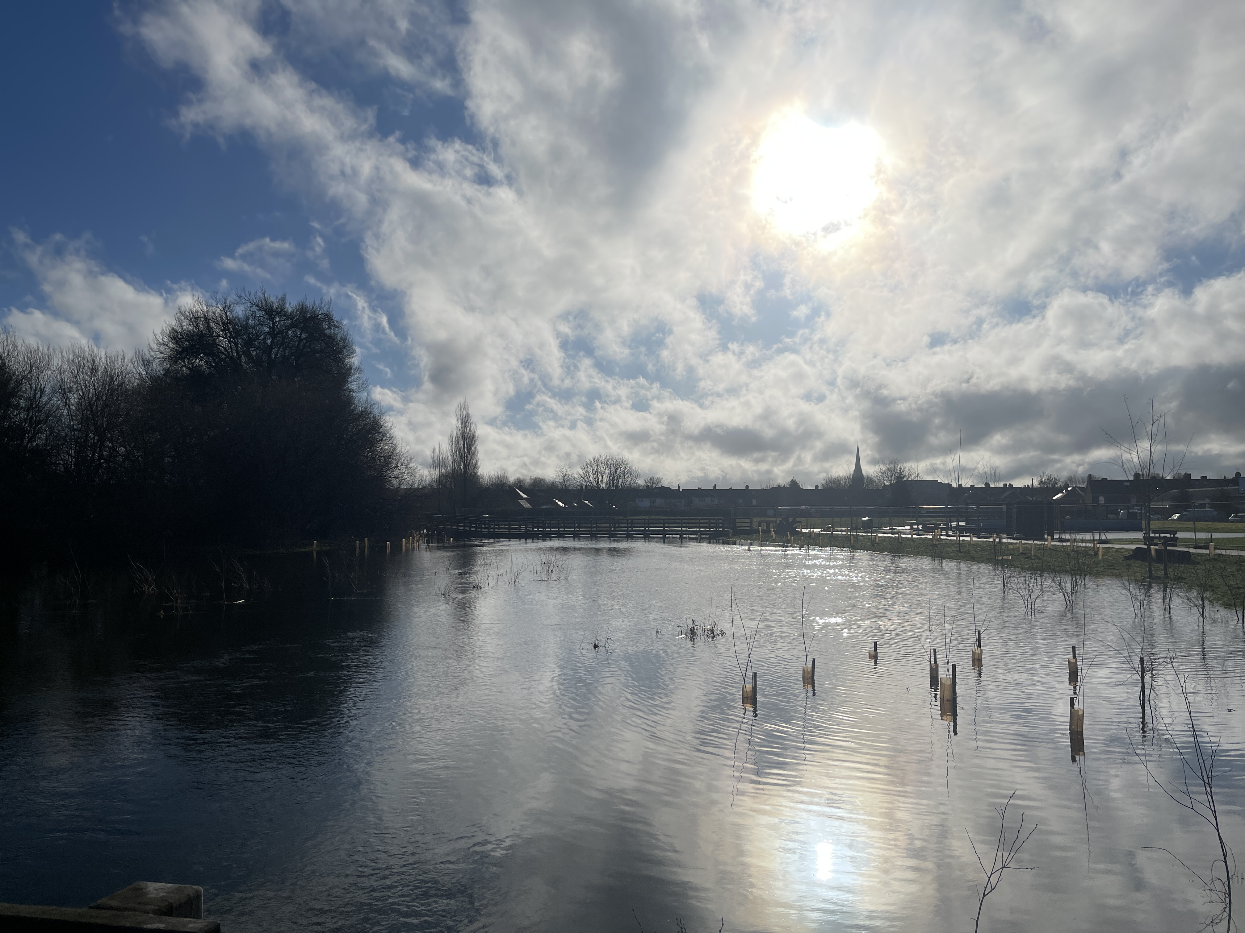 Sun shining over wetland area in Salisbury River Park