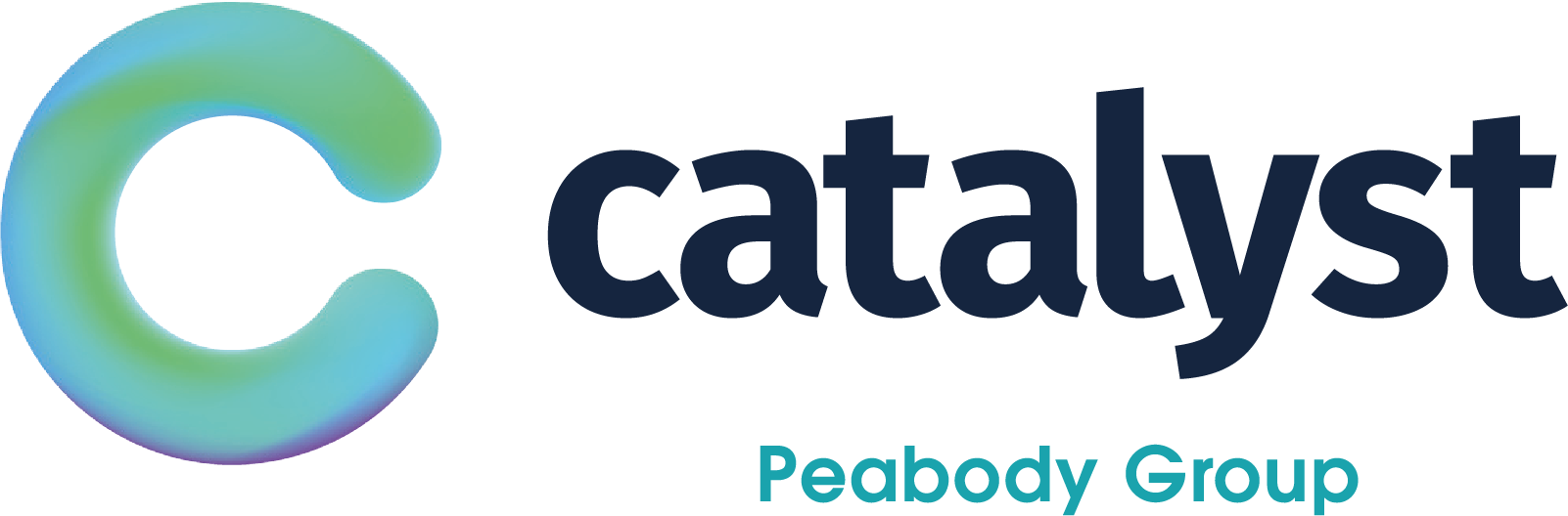 Catalyst Online Consultation Platform