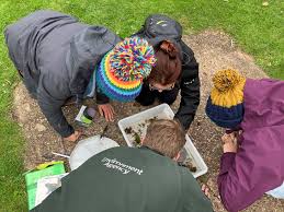 Citizen Scientists work with the Environment Agency to identify invertebrates