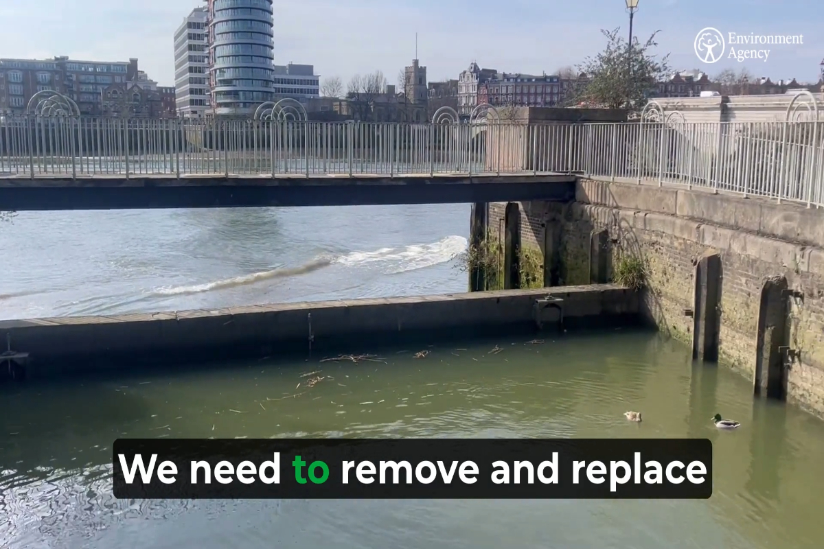 Introduction to the Swan Draw Dock Works