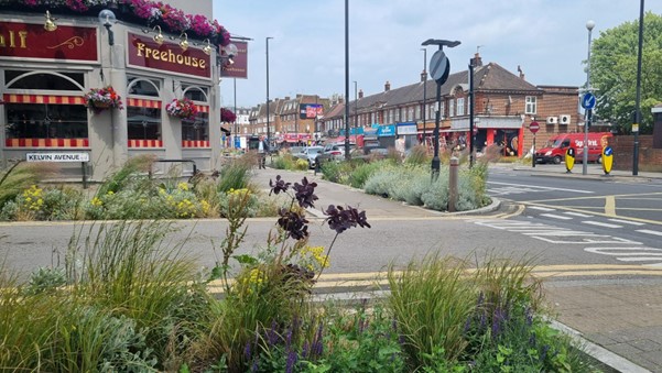 A picture showing the rain gardens with planting on Green Lanes.