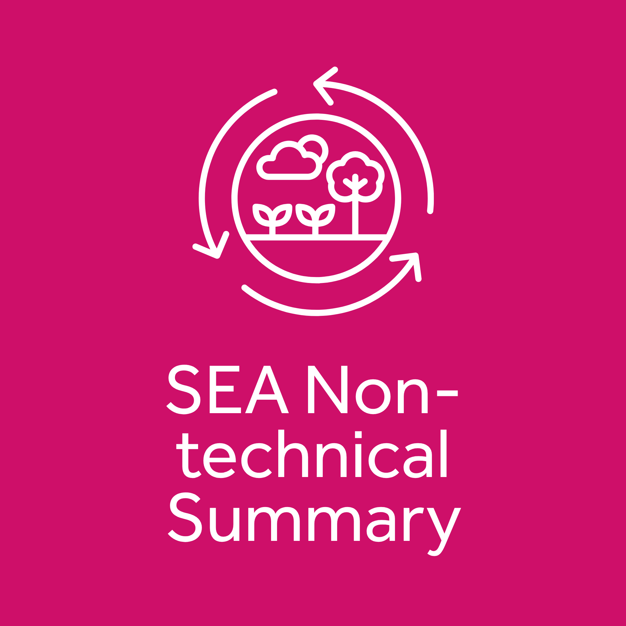 SEA Non-technical Summary
