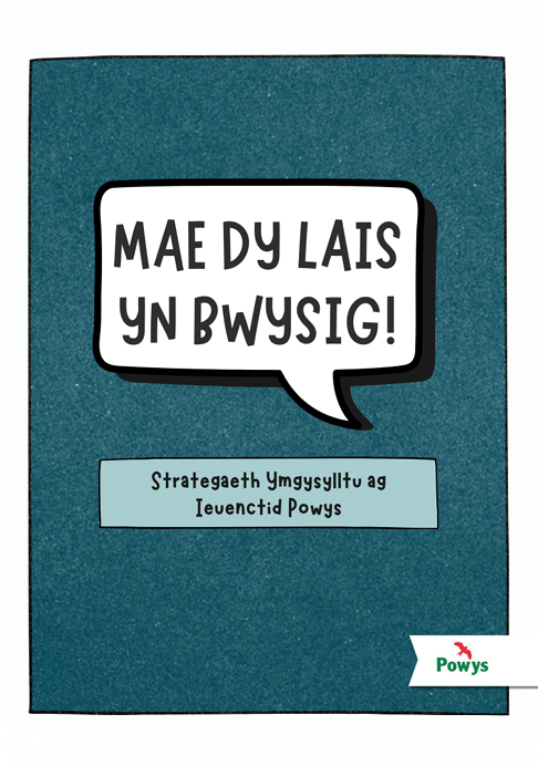 Front cover of Welsh Young People's strategy
