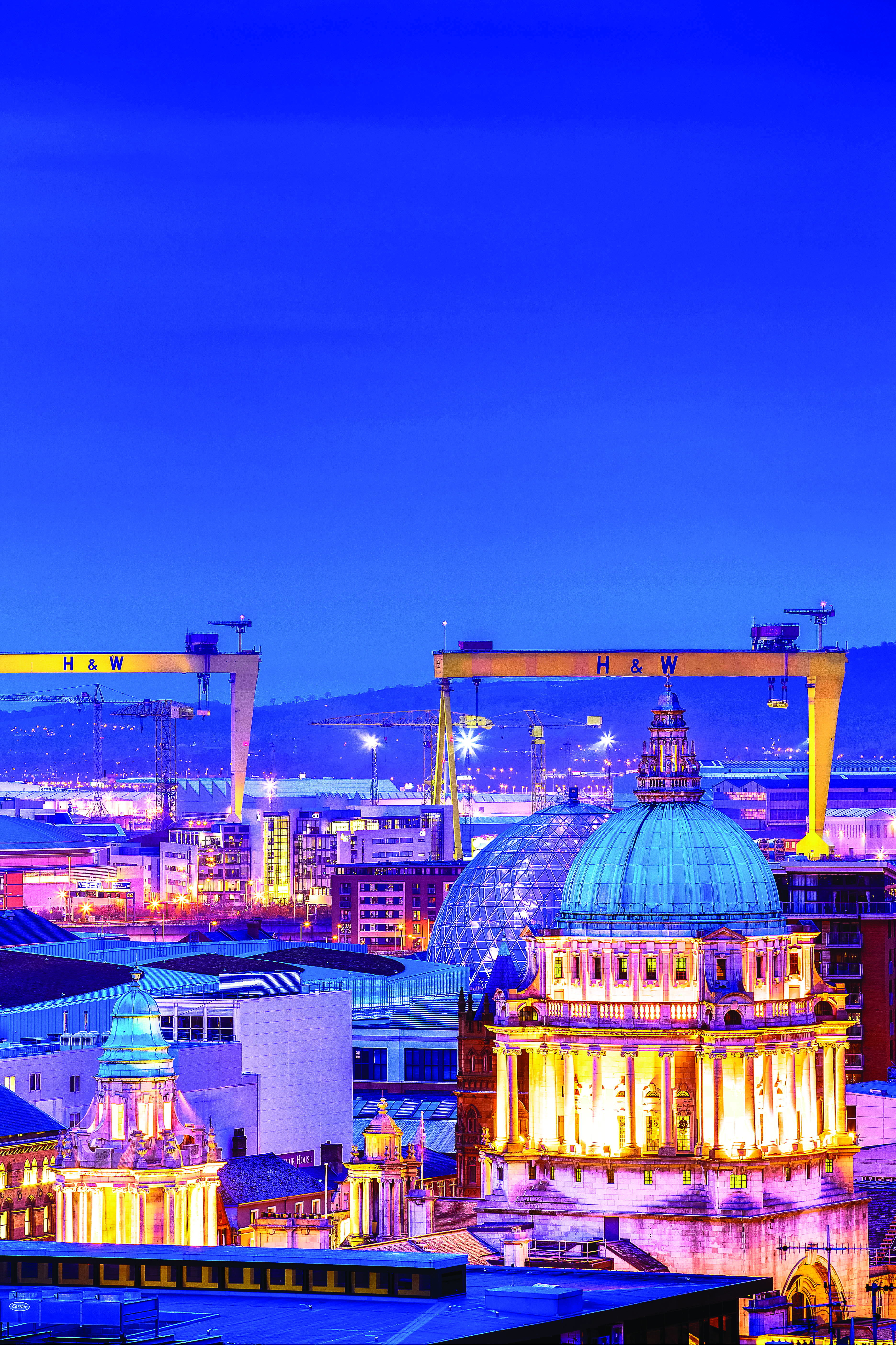 Team member, Local Development Plan Team