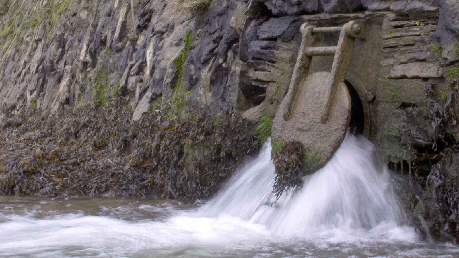 A stone sluice gate releases water into a river, surrounded by wet rocks and seaweed, evoking a serene natural landscape.