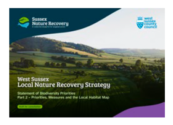 Cover of Part 2 of the LNRS (Thumbnail)