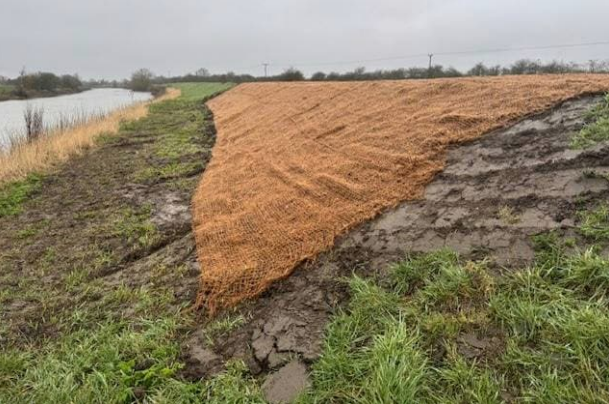 A raised river embankment with a geotextile mesh covering bare earth where a low spot has recently been restored.