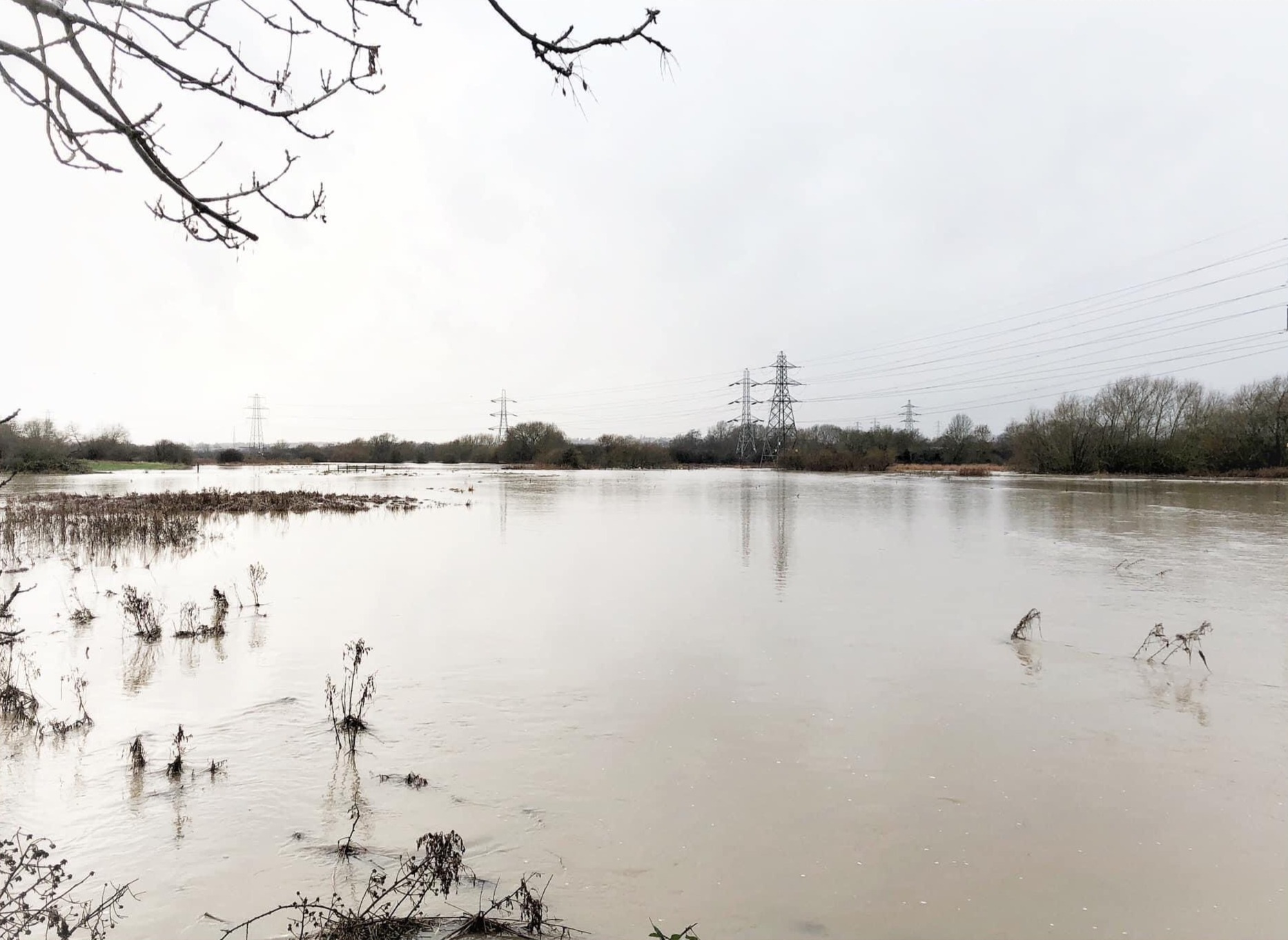 A winter scene, the foreground through to the background is dominated by light brown and calm floodwater reflecting the overcast but bright sky above. The horizon is full of leafless trees and bushes that surround the flooded meadows, as well as several electricity pylons. 