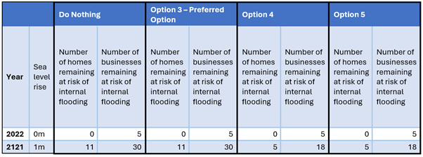 Table comparing the number of homes and businesses at risk of internal flooding under Do Nothing, Option 3, Option 4 and Option 5 for 2022 and 2121.