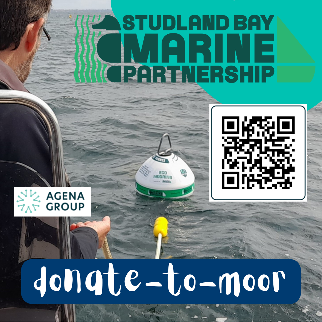 Studland Bay Marine Partnership Dorset Coast Have Your Say