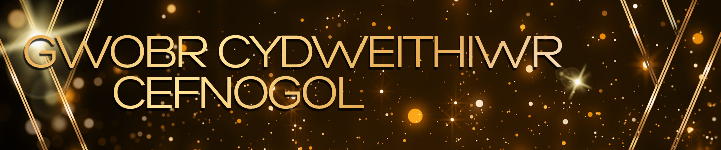 Gwobr Cydweithiwr Cefnogol   
