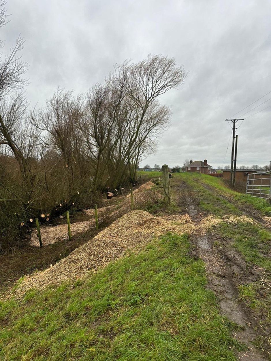 A raised river embankment with some of the trees and bushes on the riverward side cut back. There is a house in the background.
