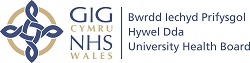 Dweud eich Dweud BIP Hywel Dda