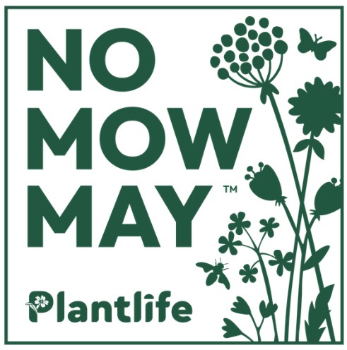 Graphic of flowes, bees and butterflies in green. Text reads 'No Mow May Plantlife'.