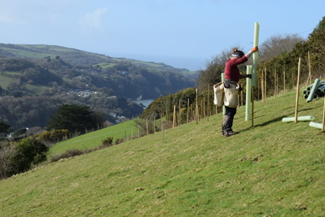 Tree planting in the Umber catchment