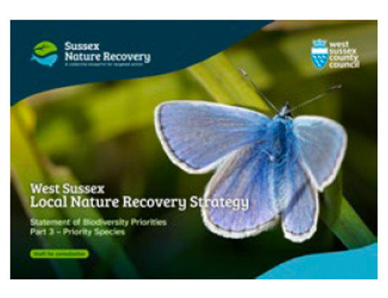 Cover of Part 3 of the LNRS (Thumbnail)