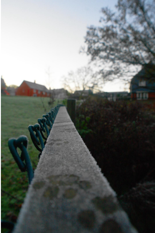 Photo of shows a wooden fence in a park with a set of paw prints in the frost in focus with the park green and houses in the background